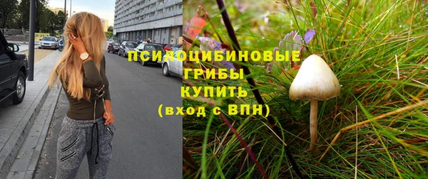 синтетический гашиш Алексин