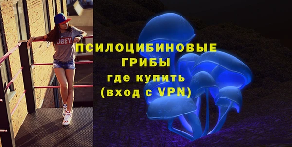 синтетический гашиш Алексин