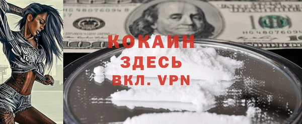 индика Абаза